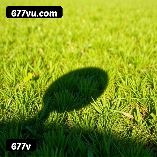 Catálogo 677v 2.547 jogos - Pragmatic Play, Evolution, NetEnt